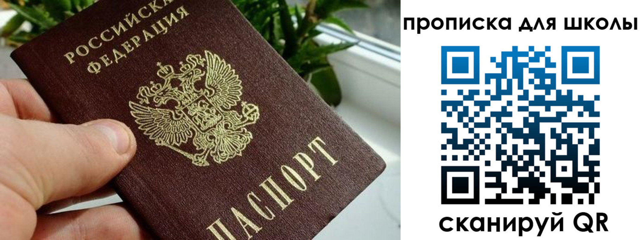 регистрация для дет. сада в Старой Руссе